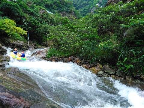 马斯克:首例脑机接口人体移植完成
